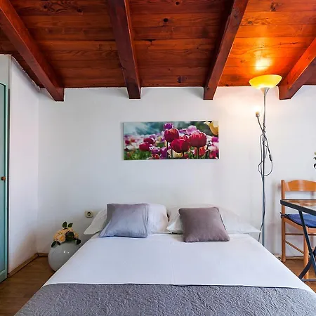 Lejlighed Brane Zadar